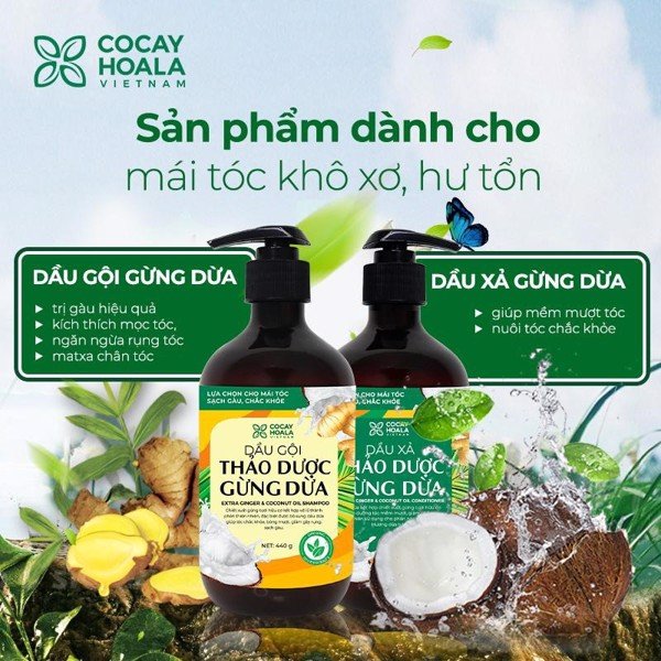 MÙA “RỤNG TÓC” ĐẾN RỒI, TẬU NGAY BỘ GỘI XẢ TỪ THẢO DƯỢC THIÊN NHIÊN, HIỆU QUẢ RÕ RỆT MÀ GIÁ LẠI NHẸ TÊNH!